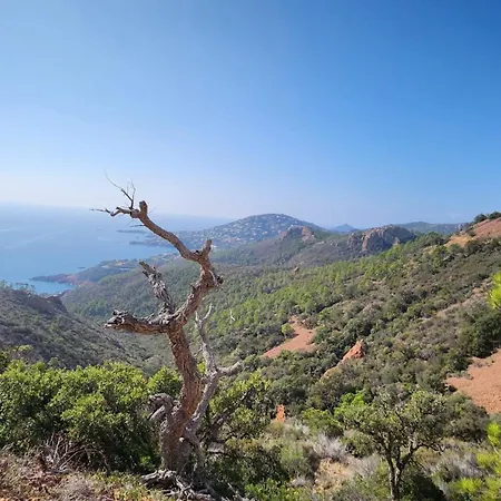 Daire Saint-raphael- Vue Et Massif De L'esterel *
